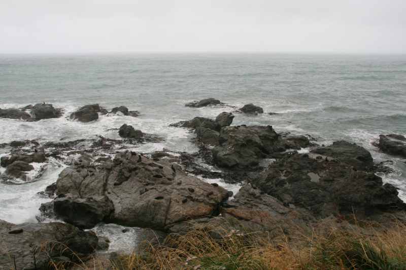 Nieuw-Zeeland 2011 - 1091